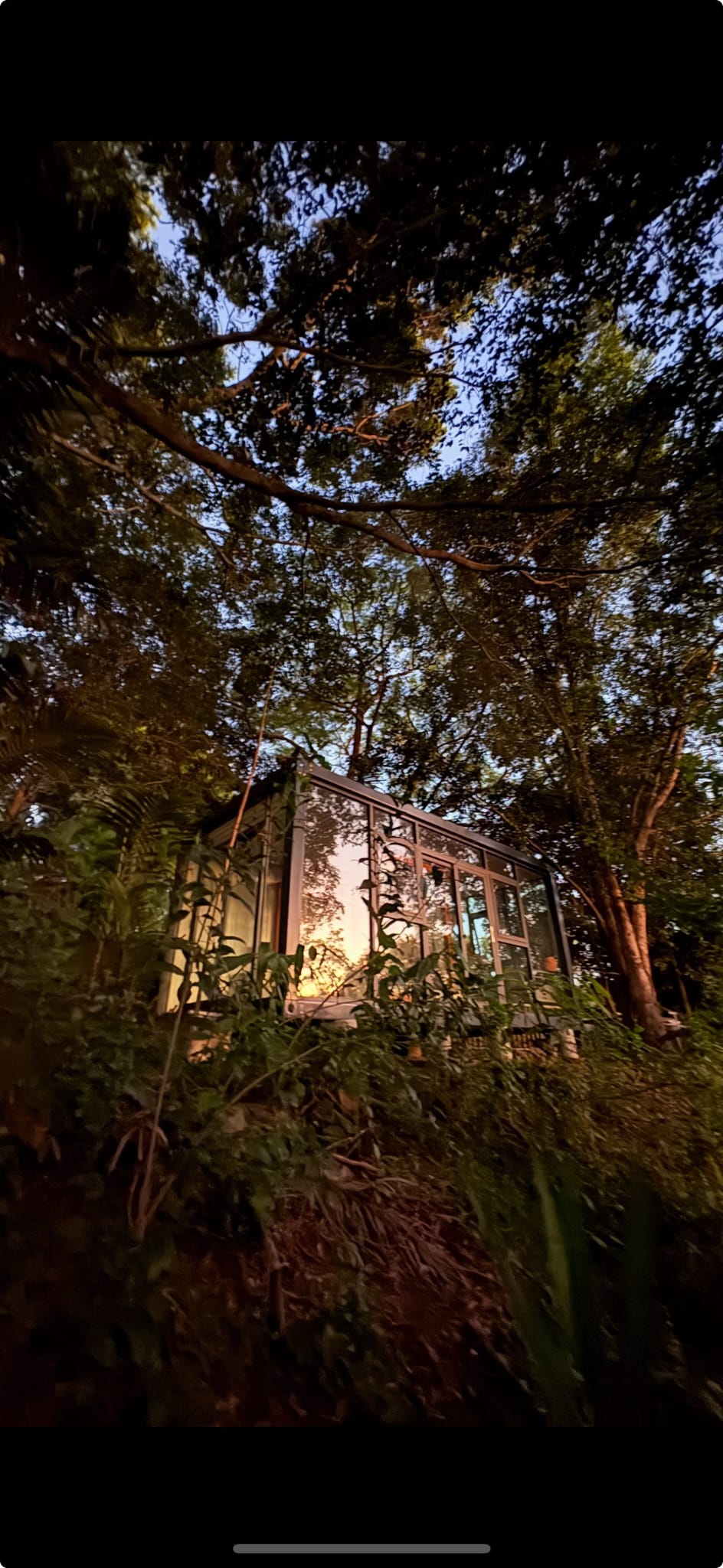Portable Pod at dusk in Australian bushland
