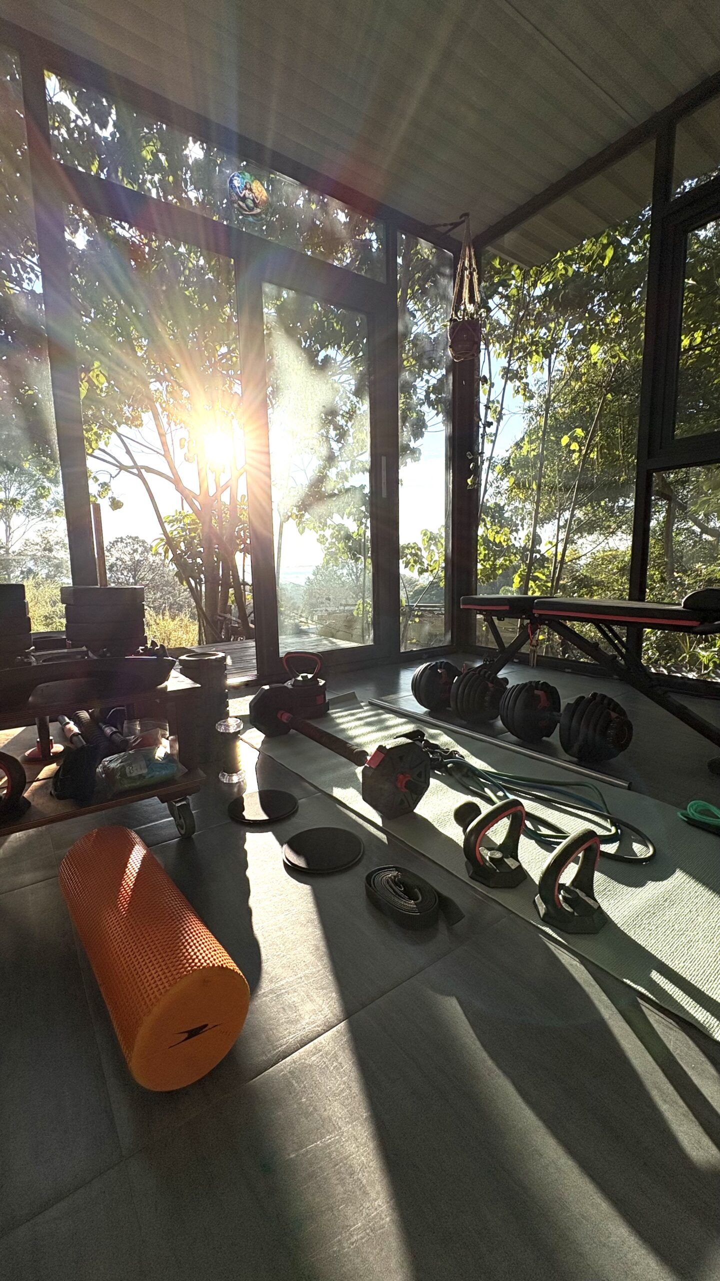Home gym portable pod with training equipment